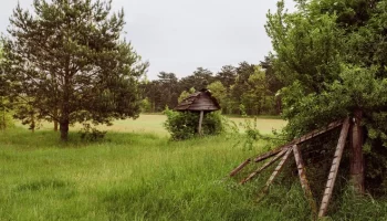 Фермер, возрождающий заброшенное село, ищет помощника, готового к переезду