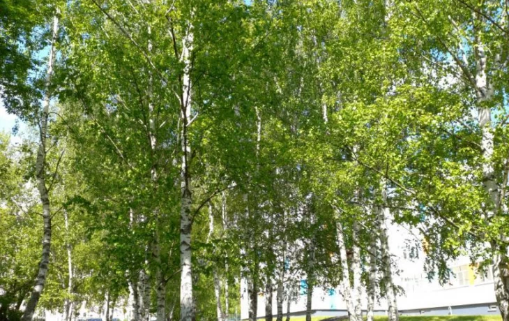 Внесите свой вклад в развитие экологической науки Внесите свой вклад в развитие экологической науки