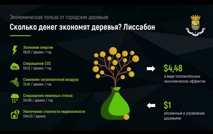 Михаил Ухов из МГУЛ развивает телеграм-канал про инжиниринг экосистемных услуг зеленой инфраструктур