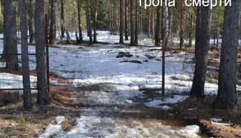 Леса Березовского заполонили наркозависимые: жители в ужасе от масштабов происходящего